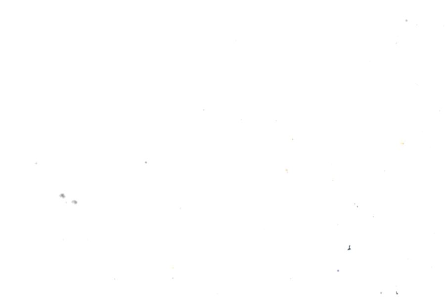 Image 40